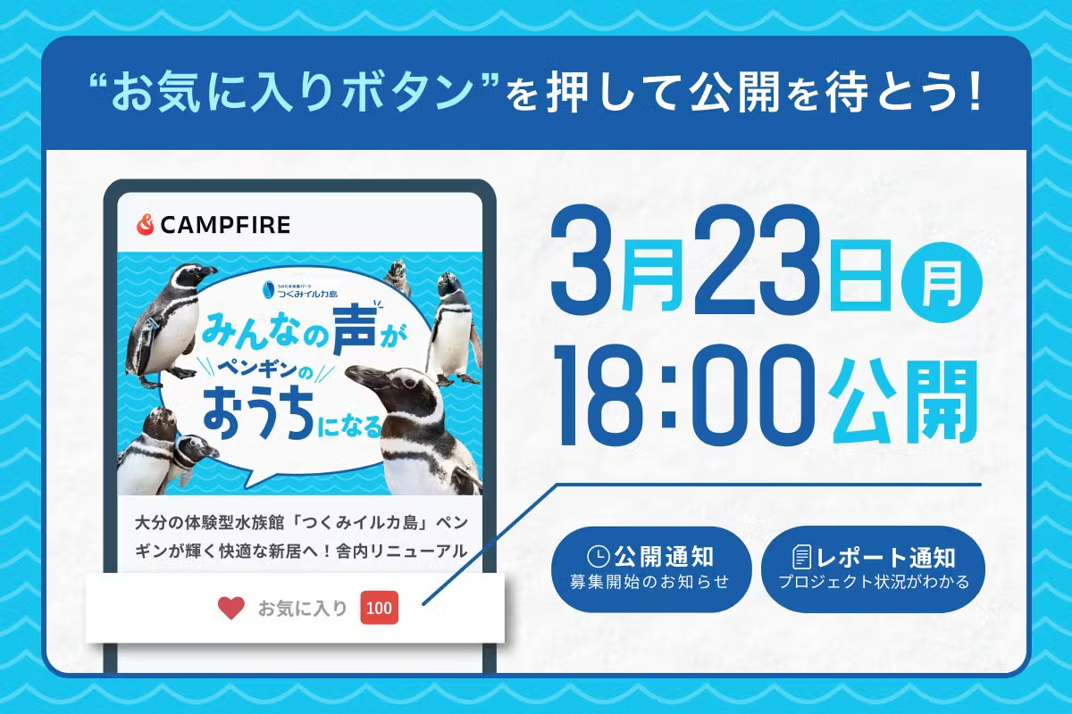 リニューアルに向けてクラウドファンディングに挑戦します!