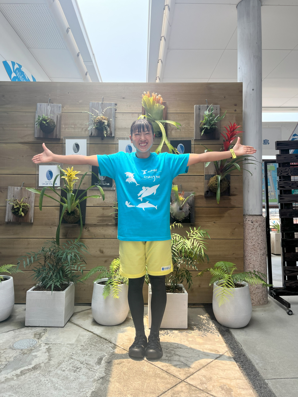 イルカと泳ごう!・イルカと泳ごう!スペシャルに参加される方必見!!!